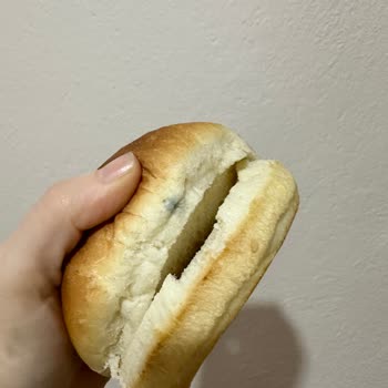 Küflü Hamburger Ekmeği Şikayeti