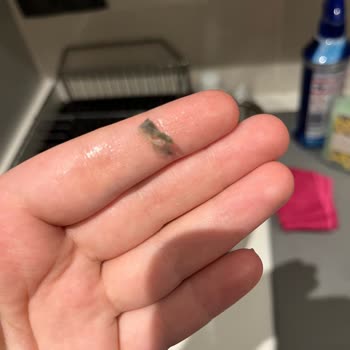 Migros Sanal Market'ten Aldığım Mantıda Ambalaj Atığı Şoku