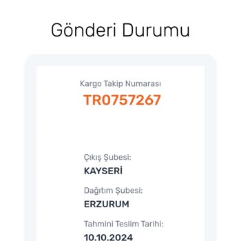 Kargo Teslimatında Uzun Süreli Gecikme Ve İletişim Sorunu