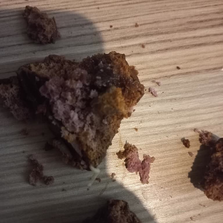 A101'den Aldığım Kekin İçinden Canlı Kurt Çıktı