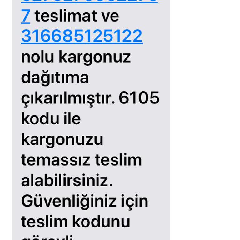 Kedilerin Mamaları Nerede