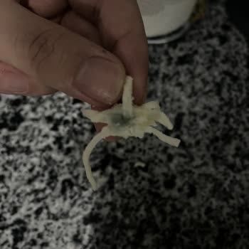 Taze Mozzarella Skandalı: Küflü Peynir Şoku