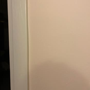 Polisan Renk Kartelasının Yanıltıcı Sonucu