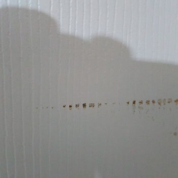 Han Çelik Kapı (Bursa) Kusurlu Kapılarla Yaşanan Mağduriyet