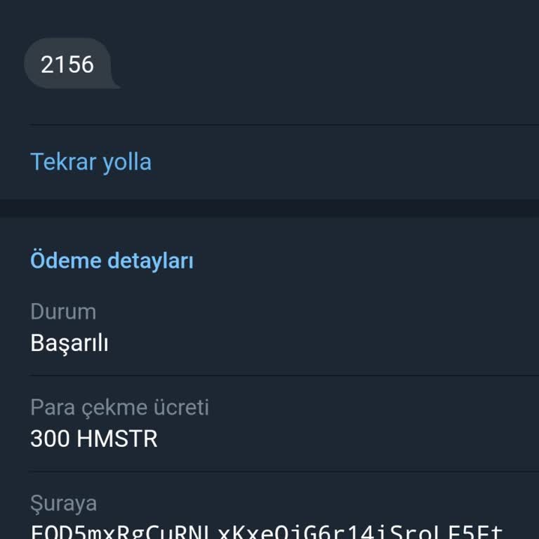 Hamster Coinlerim Binance'de Kayboldu: Acil Yardım Talebi!