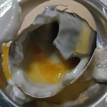 Bozuk Yumurta Sorunu: Sağlıklı Ürün Talebi