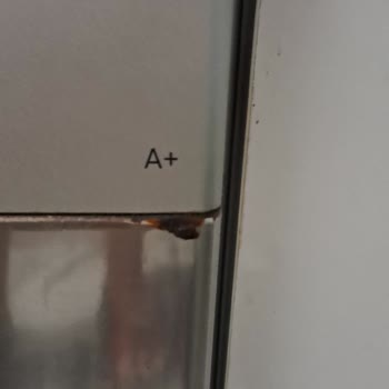 Bosch Beyaz Eşyaların Kalite Sorunu