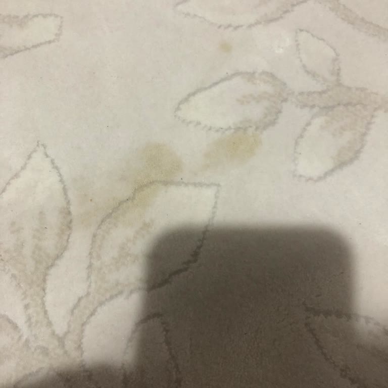 06 Halı Yıkama Şikayeti!