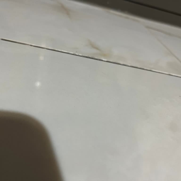 Meva Şehir Sitesi'nde Fayans Sorunu Ve İlgisizlik