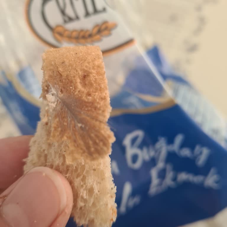 Ekmekten Çıkan Kuş Tüyü Şoku