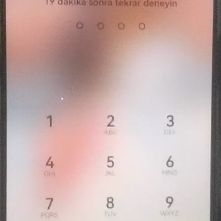 Unutulan Şifre Ve Askıya Alınan Parmak İzi Sorunu