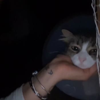 Exclusion Şikayeti!