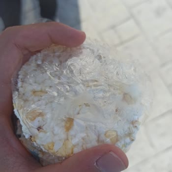 Bayat Mısır Patlağı Sorunu