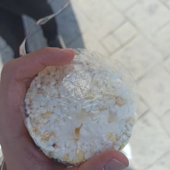 Bayat Mısır Patlağı Sorunu