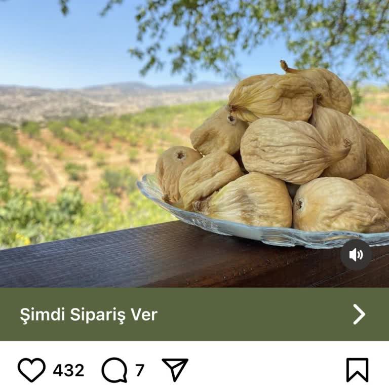 Eski Mahsul İncir Ve İletişimsizlik Sorunu