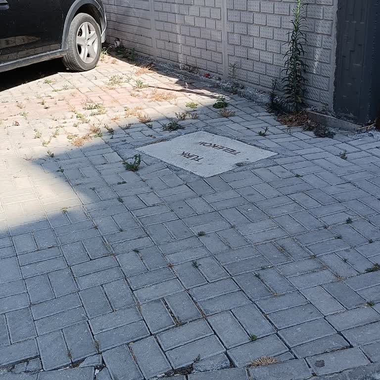 Kuşadası'nda İnternet Altyapısı Sorunu Ve Kurumların Duyarsızlığı