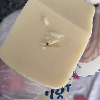 Hijyen Sorunu: Kaşar Peynirinde Beklenmedik Durum