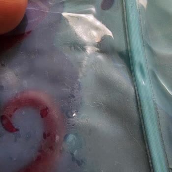 Kedibu Kediler İçin Alınan Serinletici Mat İlk Kullanımda Patladı Ve İade Süreci Sonuçsuz Kaldı