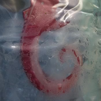 Kedibu Kediler İçin Alınan Serinletici Mat İlk Kullanımda Patladı Ve İade Süreci Sonuçsuz Kaldı