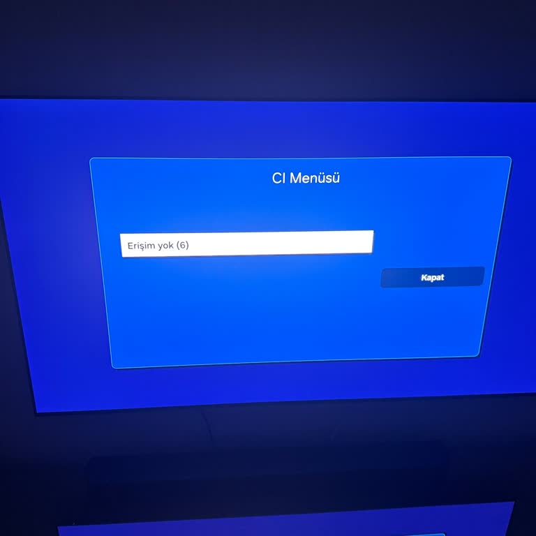 Kablo TV Conax Modülü Erişim Sorunu Ve Çözüm Arayışı
