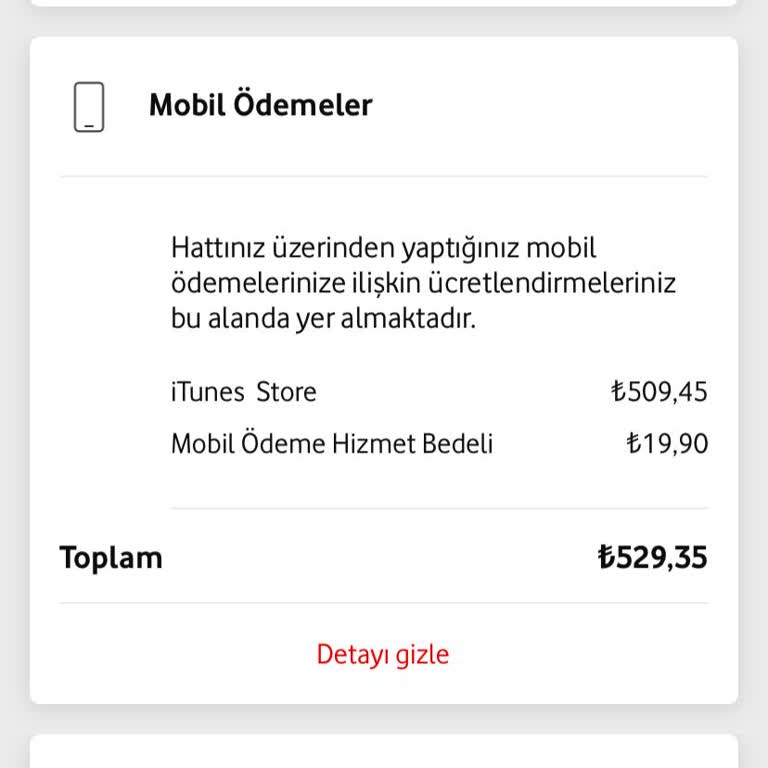 Habersiz İtunes Ödemesi Ve Yüksek Fatura Şoku