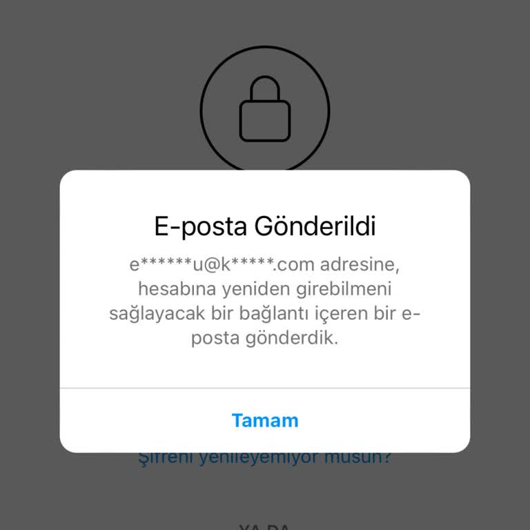 Instagram Hesap Erişim Sorunu Ve Güvenlik Endişesi