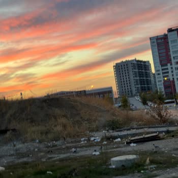 Yenibatı Mahallesinde Köpek Saldırıları Ve Güvenlik Endişesi