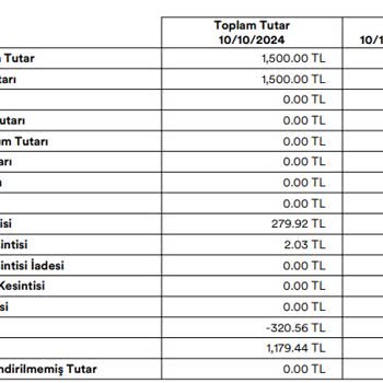 BES'te Beklenmedik Kesintilerle Karşılaştım