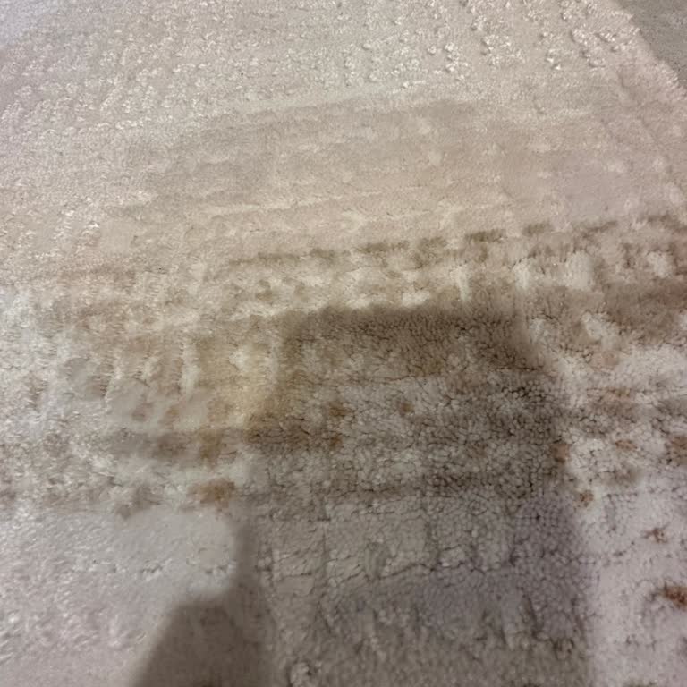 Halı Yıkama Sonrası Kalıcı Leke Sorunu