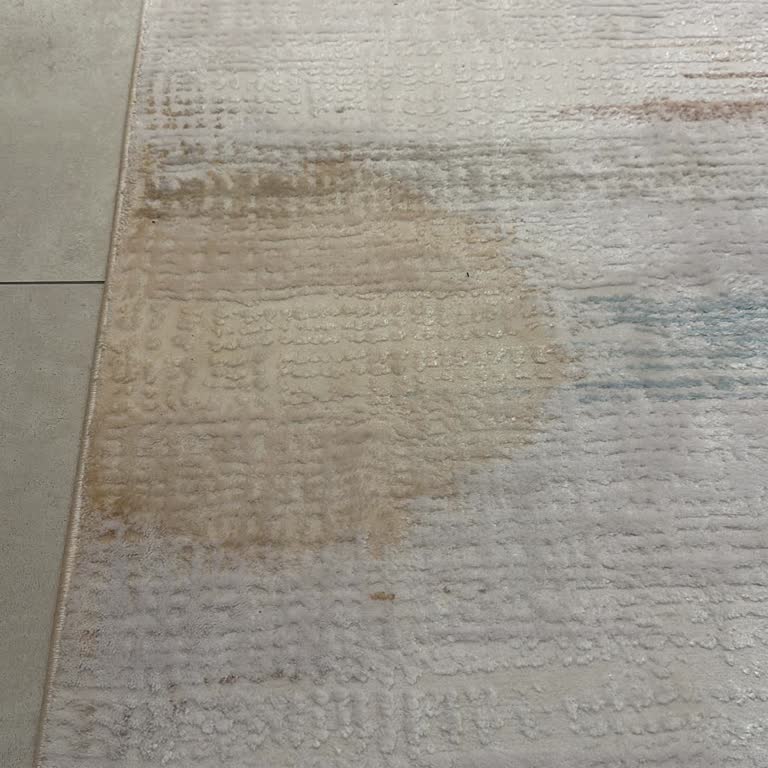 Halı Yıkama Sonrası Kalıcı Leke Sorunu