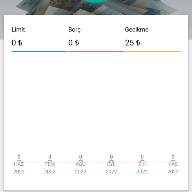 Yapı Kredi Bankası Kapatılmış Kredinin Findeks Gecikmesi Sorunu