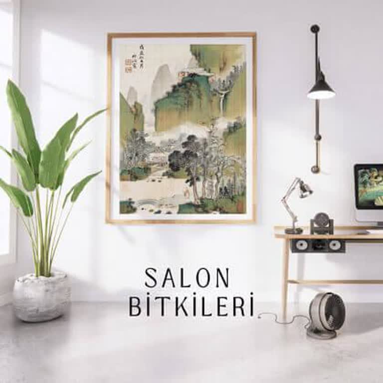 Ticimax İle Çözülemeyen Sorunlar Ve Bekleyen Kayıtlar