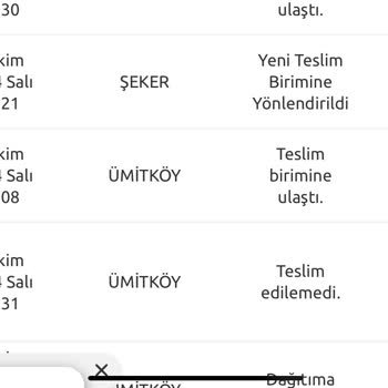 İki hafta boyunca kargonun teslimini bekliyorum