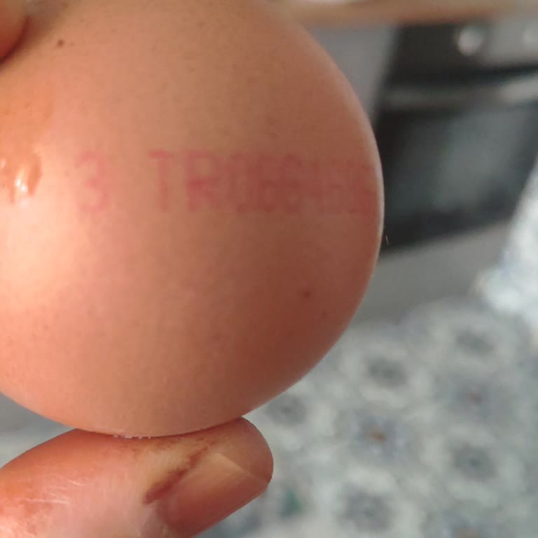 Şeker Tavukçuluk Yanıltıcı Ürün Bilgisiyle Yıllarca Yanıltıldım