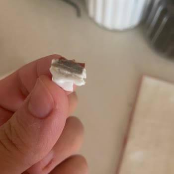 Milföy Hamurunda Lastik Parçalar Şoku