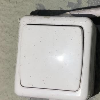 Boris Hotel Şikayeti