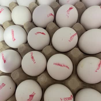 Son Kullanma Tarihi Yaklaşan Yumurta Şikayeti