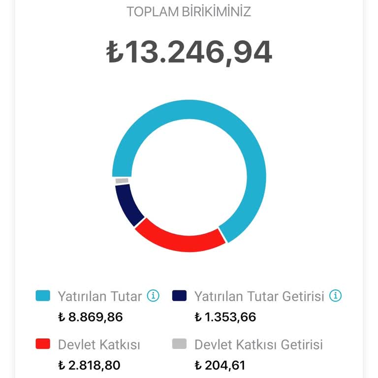 Bireysel Emeklilik İptalinde Kesinti Ve Gecikme Sorunu