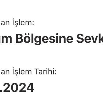Kargo Dağıtımındaki Aksaklık Ve Gecikme