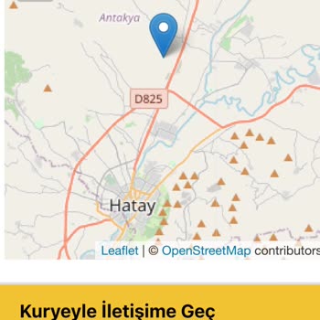 Kargo Dağıtımındaki Aksaklık Ve Gecikme