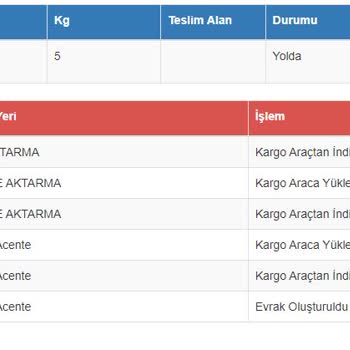 Kargo Teslimatında İzmir'de Yaşanan Gecikme Sorunu