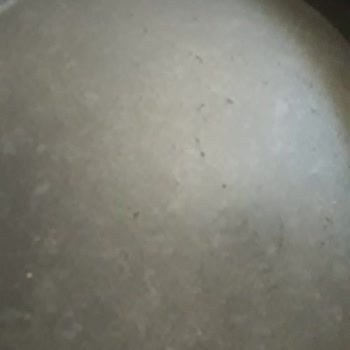 Bonera Tencere Takımı Kalitesizliği Ve Müşteri Hizmetleri Sorunu