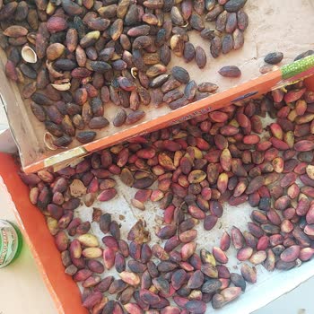 Kalitesiz Ürün Ve Yanıltıcı Hizmet