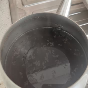 Lipton Demlik Poşet Çayda Kalite Sorunu!