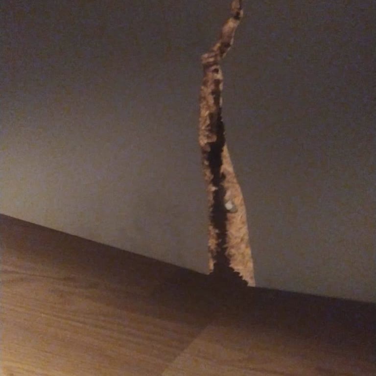 Satış Sonrası Destek Eksikliği Ve Acil Yardım Talebi