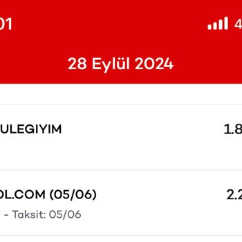 İade Sürecinde Yaşanan Gecikme Ve Mağduriyet