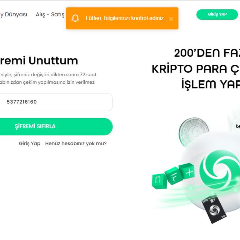 Hesap Erişim Sorunu Ve Şifre Yenileme Problemi