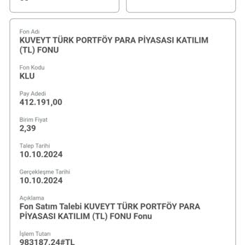 Yatırım Fonunda Ani Değer Kaybı Şoku