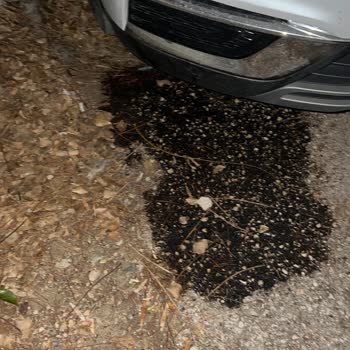 Renault Servis Kayıtları Ve Güvenlik Sorunları