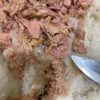 Dardanel Ton Balığı'nda Beklenmedik Koku Ve Görüntü